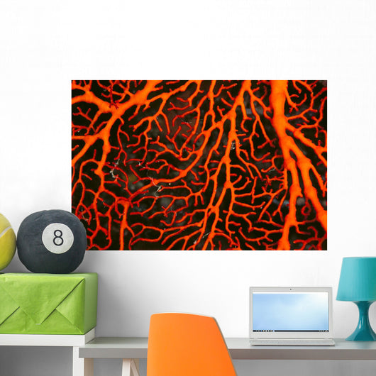 Papua New Guinea, Orange Sea Fan Close-Up Detail Wall Mural