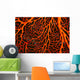 Papua New Guinea, Orange Sea Fan Close-Up Detail Wall Mural
