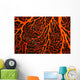 Papua New Guinea, Orange Sea Fan Close-Up Detail Wall Mural