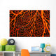 Papua New Guinea, Orange Sea Fan Close-Up Detail Wall Mural