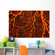 Papua New Guinea, Orange Sea Fan Close-Up Detail Wall Mural