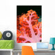 Indonesia, Soft Coral Detail Pink Stem With Bright Orange Polyps Wall Mural