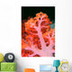 Indonesia, Soft Coral Detail Pink Stem With Bright Orange Polyps Wall Mural