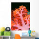 Indonesia, Soft Coral Detail Pink Stem With Bright Orange Polyps Wall Mural