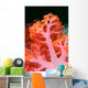 Indonesia, Soft Coral Detail Pink Stem With Bright Orange Polyps Wall Mural