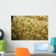 Indonesia, Yellow Soft Coral Close-Up Wall Mural