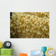 Indonesia, Yellow Soft Coral Close-Up Wall Mural