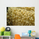 Indonesia, Yellow Soft Coral Close-Up Wall Mural