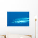 Palau, Barracuda Pair Side View In Clear Blue Ocean Wall Mural