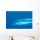 Palau, Barracuda Pair Side View In Clear Blue Ocean Wall Mural