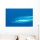 Palau, Barracuda Pair Side View In Clear Blue Ocean Wall Mural