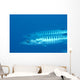 Palau, Barracuda Pair Side View In Clear Blue Ocean Wall Mural