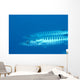 Palau, Barracuda Pair Side View In Clear Blue Ocean Wall Mural