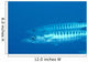 Palau, Barracuda Pair Side View In Clear Blue Ocean Wall Mural