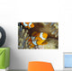 Indonesia, Clownfish Guards Egg Mass Wall Mural
