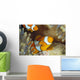 Indonesia, Clownfish Guards Egg Mass Wall Mural