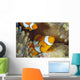 Indonesia, Clownfish Guards Egg Mass Wall Mural