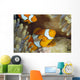 Indonesia, Clownfish Guards Egg Mass Wall Mural