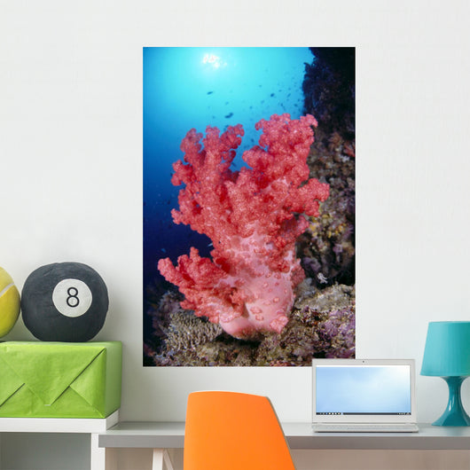 Reef Scene In Blue Ocean With Sunburst Wall Mural