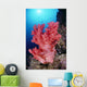 Reef Scene In Blue Ocean With Sunburst Wall Mural