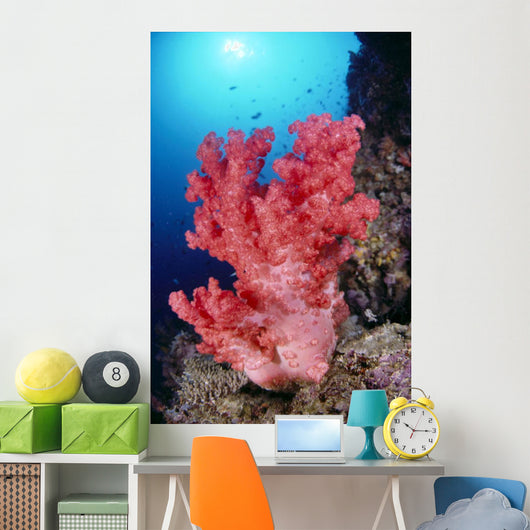 Reef Scene In Blue Ocean With Sunburst Wall Mural
