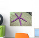 Indonesia, Pink Sea Star On Brain Coral Wall Mural
