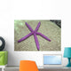 Indonesia, Pink Sea Star On Brain Coral Wall Mural