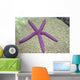 Indonesia, Pink Sea Star On Brain Coral Wall Mural