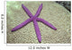 Indonesia, Pink Sea Star On Brain Coral Wall Mural