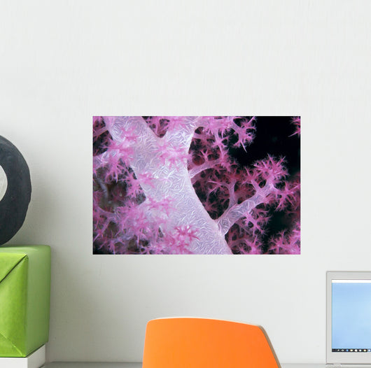 Palau, Alcyonarian Coral Pink Detail, Black Background Wall Mural