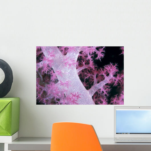 Palau, Alcyonarian Coral Pink Detail, Black Background Wall Mural