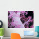 Palau, Alcyonarian Coral Pink Detail, Black Background Wall Mural