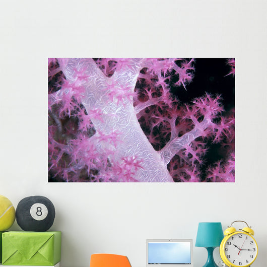 Palau, Alcyonarian Coral Pink Detail, Black Background Wall Mural