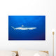 California, Blue Shark Clear Blue Water Near Surface, Side View Wall Mural