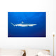 California, Blue Shark Clear Blue Water Near Surface, Side View Wall Mural