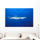 California, Blue Shark Clear Blue Water Near Surface, Side View Wall Mural