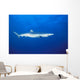 California, Blue Shark Clear Blue Water Near Surface, Side View Wall Mural