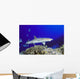 Hawaii, Whitetip Reef Shark Side View Of Shark Wall Mural