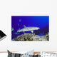 Hawaii, Whitetip Reef Shark Side View Of Shark Wall Mural