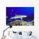 Hawaii, Whitetip Reef Shark Side View Of Shark Wall Mural