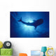 Hawaii, Whale Shark Backlit By Sunburst Silhouette Wall Mural