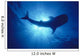 Hawaii, Whale Shark Backlit By Sunburst Silhouette Wall Mural