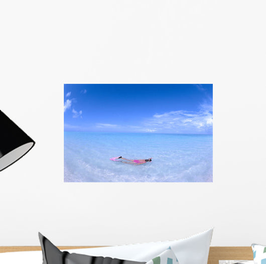 Blue Skies With Wispy Clouds Wall Mural