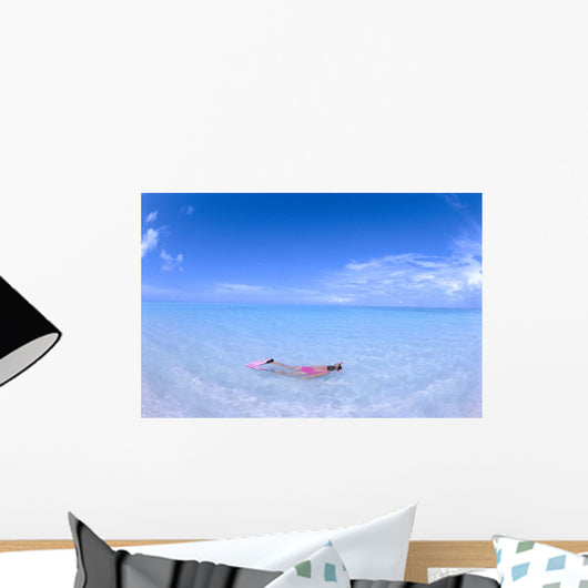Blue Skies With Wispy Clouds Wall Mural