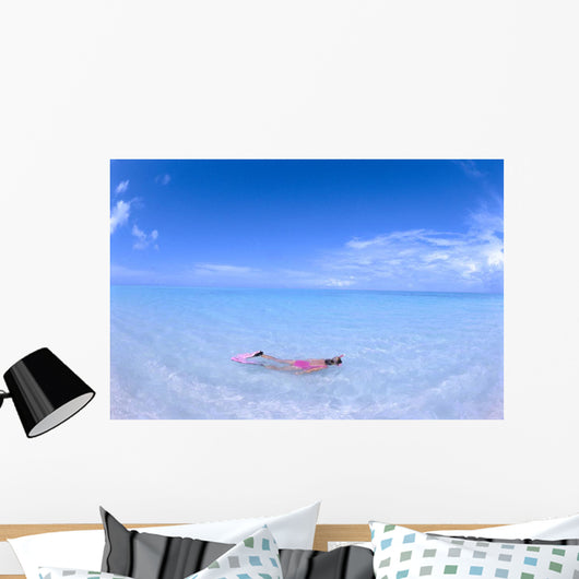 Blue Skies With Wispy Clouds Wall Mural