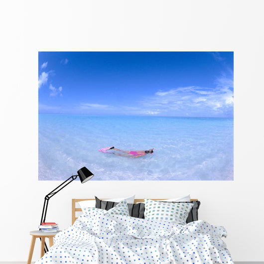 Blue Skies With Wispy Clouds Wall Mural