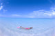 Blue Skies With Wispy Clouds Wall Mural