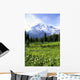 Avalanche Lilies In Meadow Along Nisqually Vista Trail Wall Mural