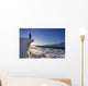 Sunrise With Reflections On Snow Wall Mural