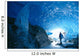Interior View Wall Mural